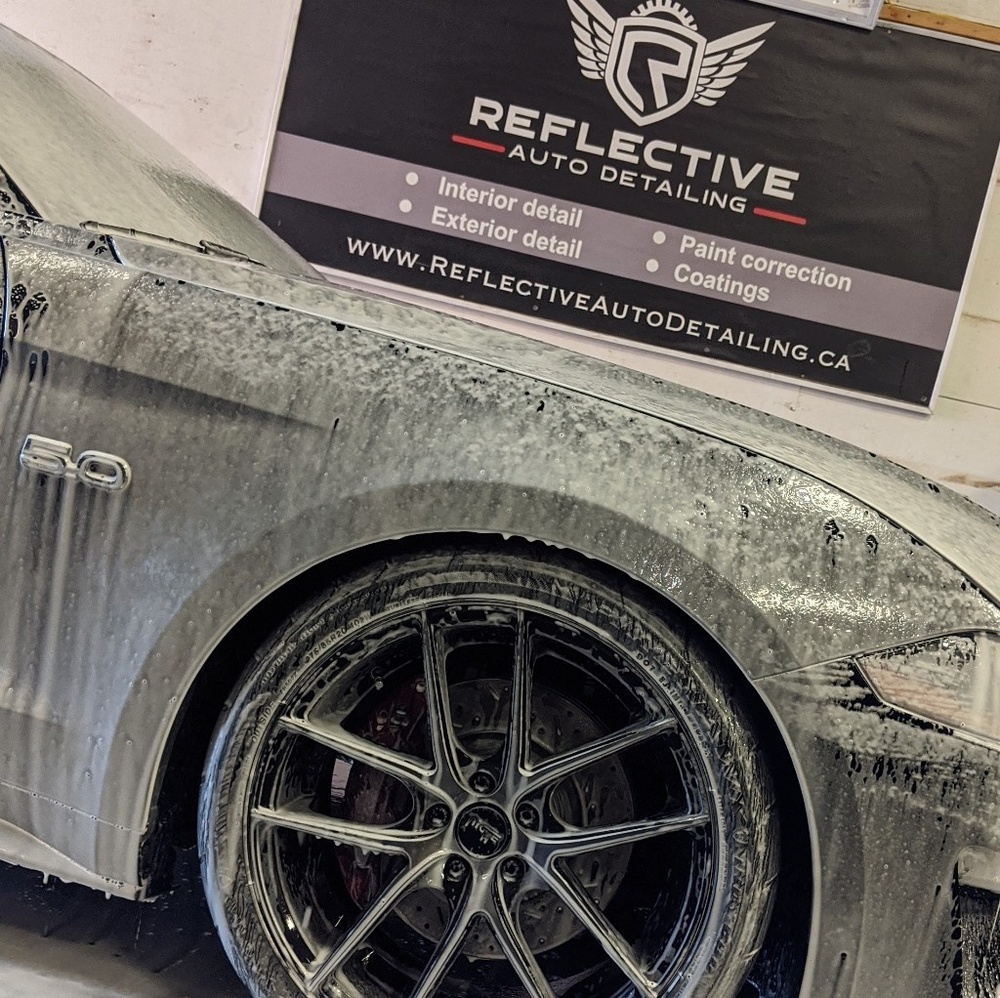 Meet your Posher, Cole
